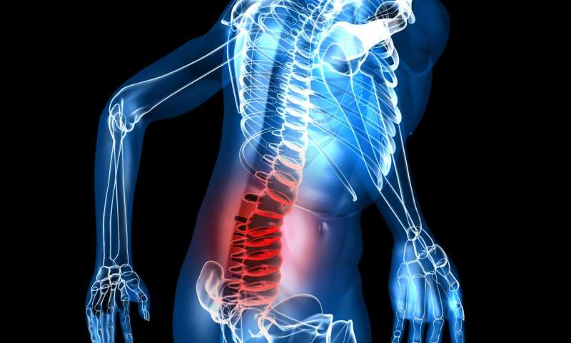 Back Pain Causes Chronic Pain