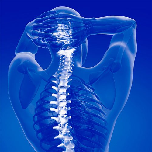 Whiplash Injury Meaning In Urdu Cl tit Blog