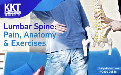 Lumbar Spine: Pain, Anatomy & Exercises