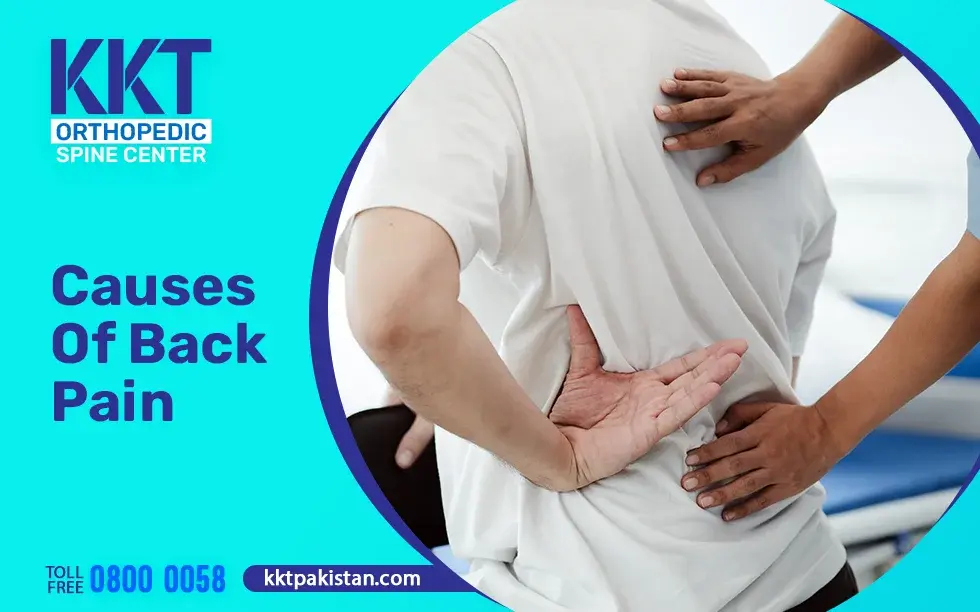 causes of back pain